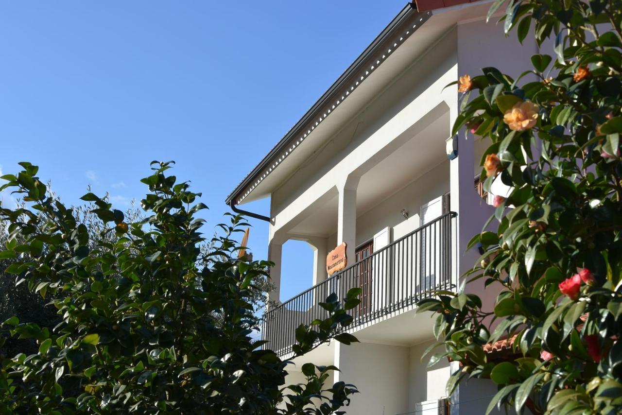 Casa Mouramortina Vila Nova de Poiares Exteriér fotografie
